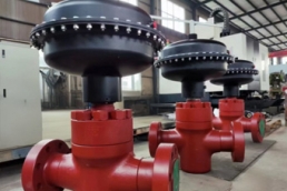 Gate Valve